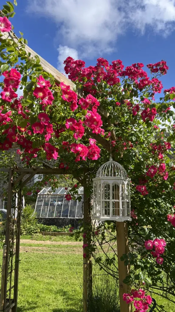 Jardin fleuri